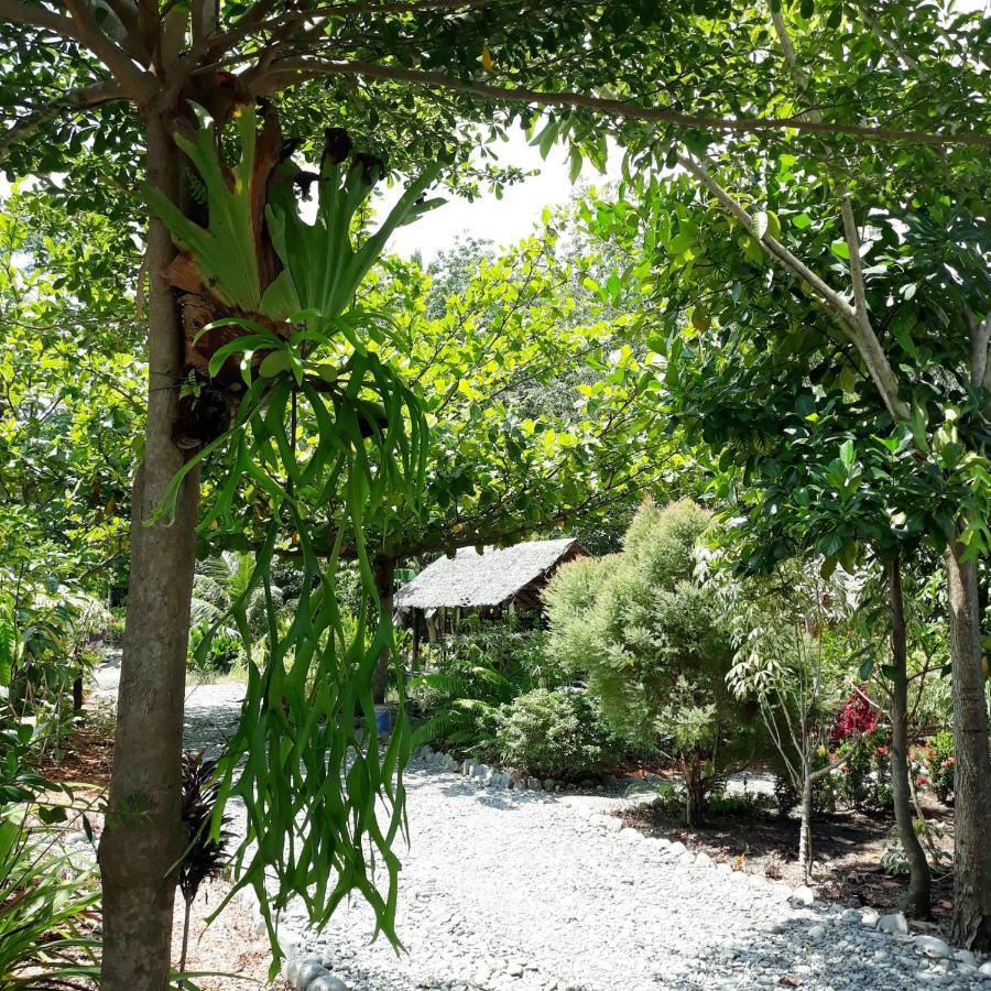 Magpie Homestay & Jungle Trekking Especially For Guest Trekking With Us บูกิตลาวัง ภายนอก รูปภาพ
