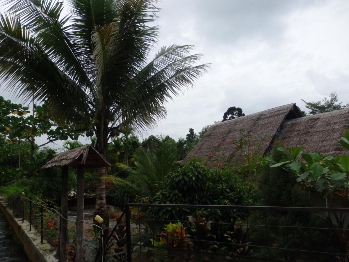 Magpie Homestay & Jungle Trekking Especially For Guest Trekking With Us บูกิตลาวัง ภายนอก รูปภาพ