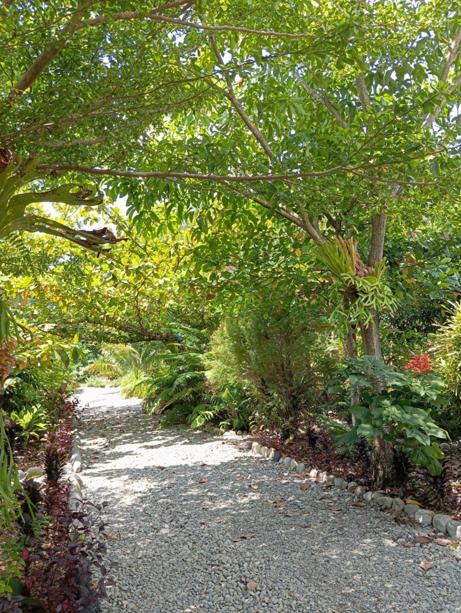 Magpie Homestay & Jungle Trekking Especially For Guest Trekking With Us บูกิตลาวัง ภายนอก รูปภาพ