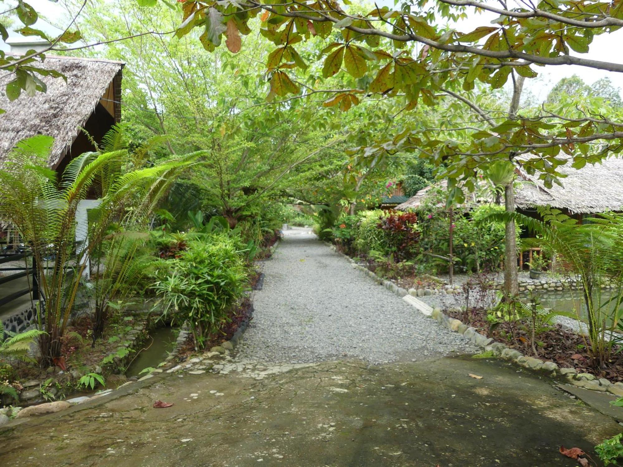 Magpie Homestay & Jungle Trekking Especially For Guest Trekking With Us บูกิตลาวัง ภายนอก รูปภาพ